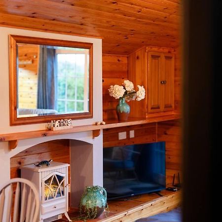Rural Log Cabin In Snowdonia Near Coed Y Brenin By Seren Short Stays Ffestiniog Exterior photo