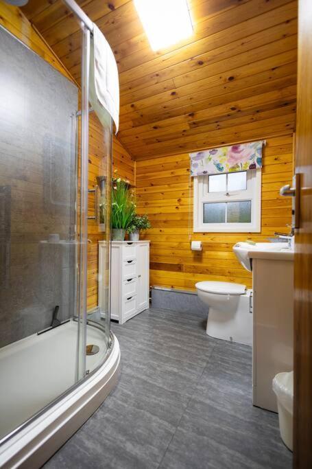 Rural Log Cabin In Snowdonia Near Coed Y Brenin By Seren Short Stays Ffestiniog Exterior photo